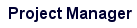 Project Manager